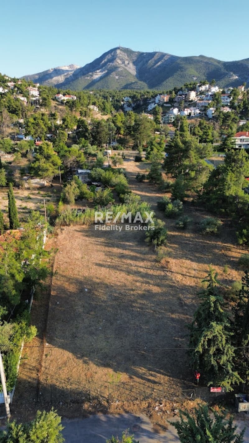 Building Plot in Rodopoli, Rodopoli — Photo 3 of 6
