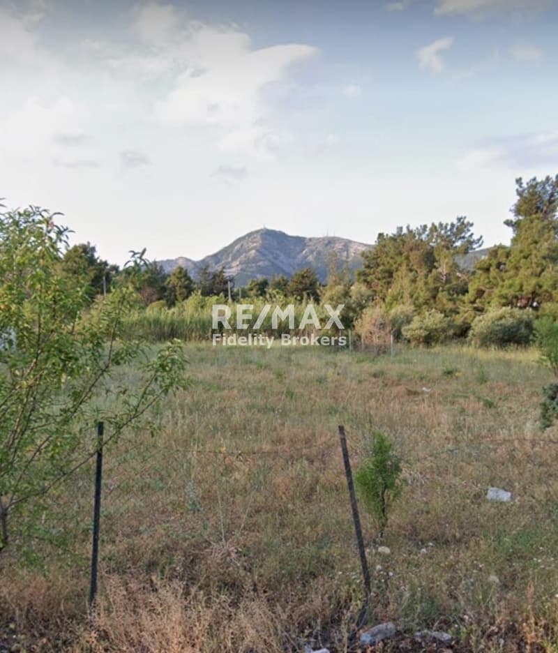 Building Plot in Rodopoli, Rodopoli — Photo 4 of 6