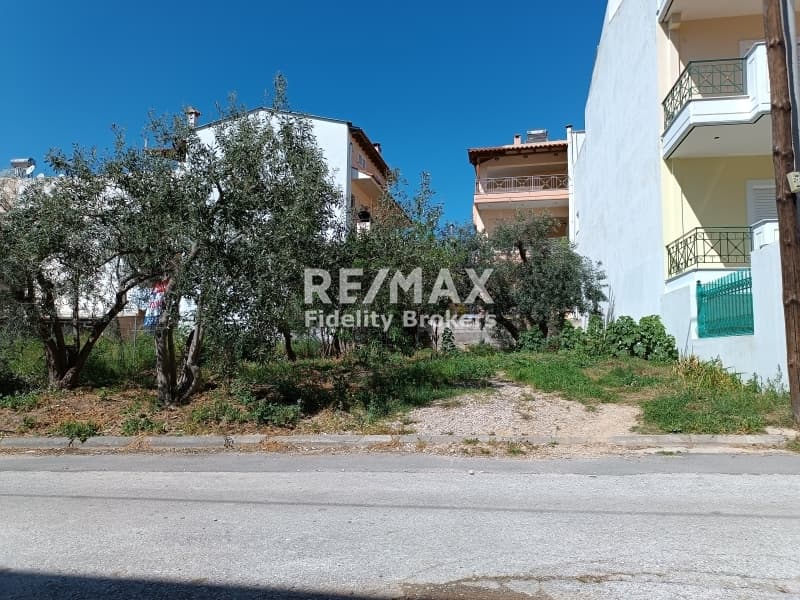 Οικόπεδο στην Γαργηττός, Γέρακας — Φωτογραφία 4 από 6