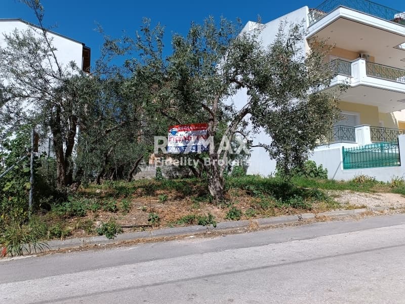 Οικόπεδο στην Γαργηττός, Γέρακας — Φωτογραφία 2 από 6