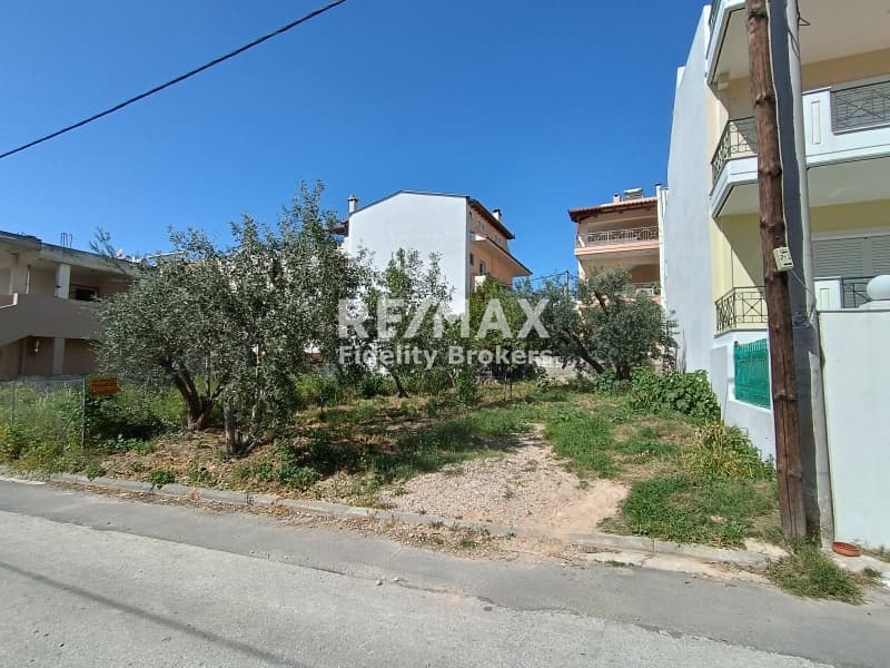 Οικόπεδο στην Γαργηττός, Γέρακας — Φωτογραφία 5 από 6