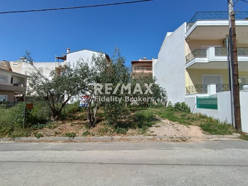 Οικόπεδο στην Γαργηττός, Γέρακας — Φωτογραφία 3 από 6