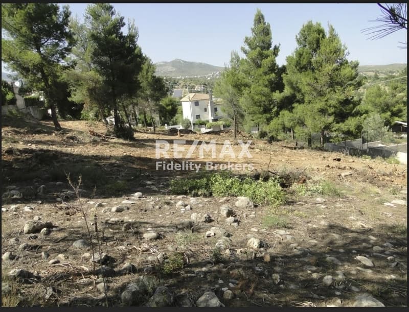 Οικόπεδο στην Νέα Παλλήνη, Παλλήνη — Φωτογραφία 5 από 7