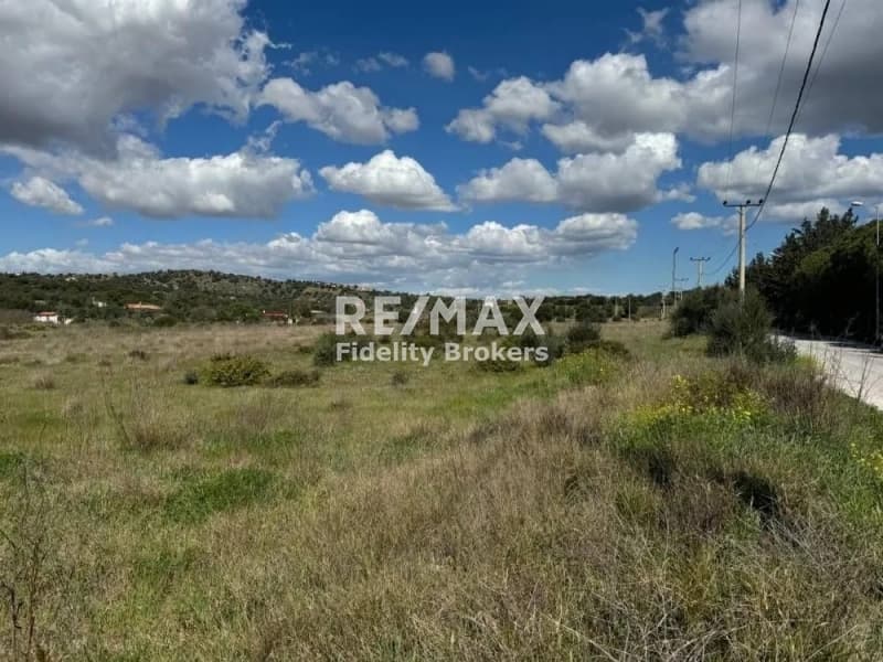 Parcel in Koulidas, Markopoulo — Photo 3 of 7