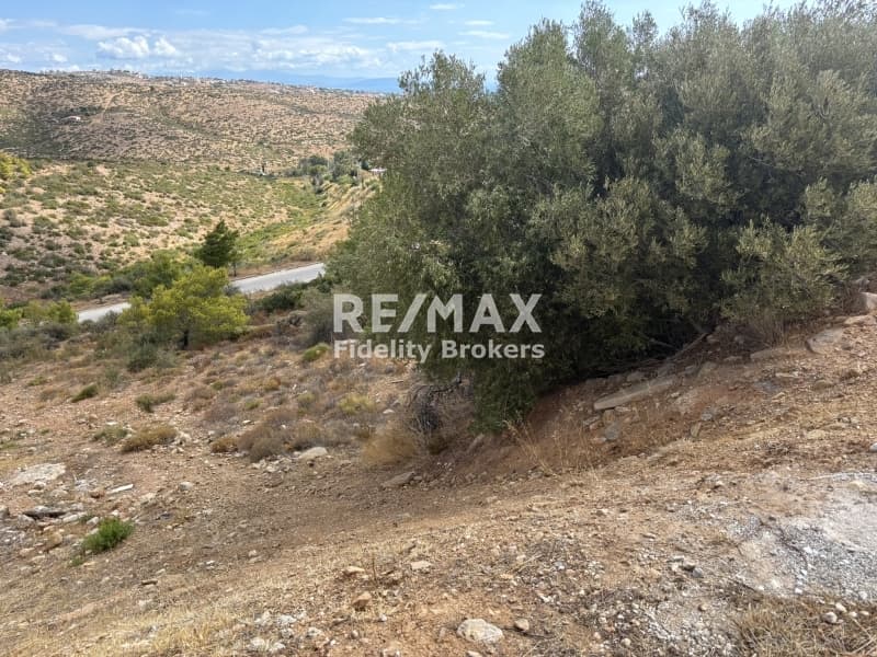 Οικόπεδο στην Ντράφι, Πικέρμι — Φωτογραφία 3 από 3