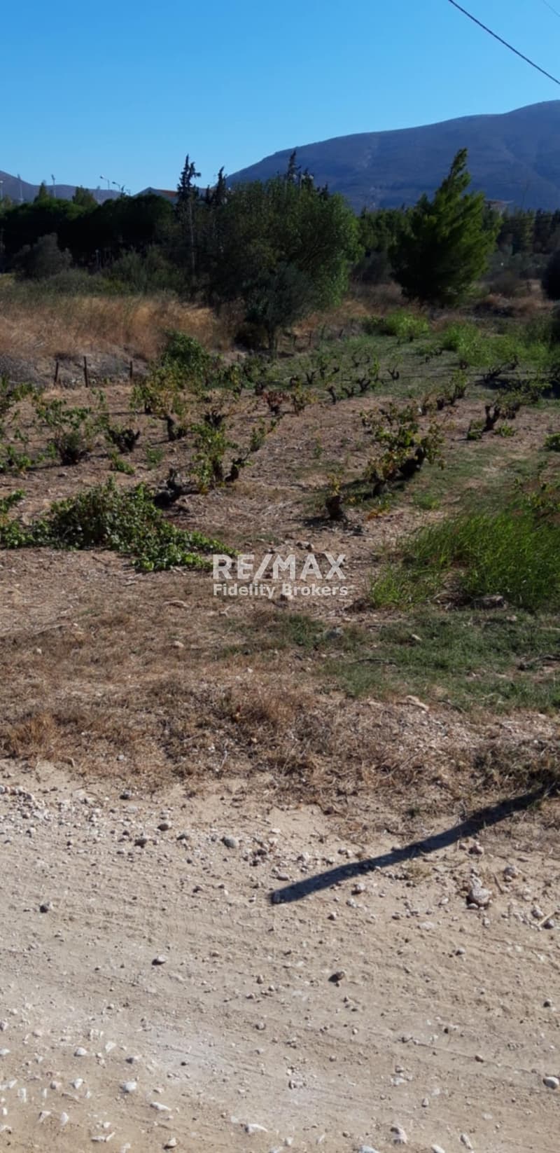 Parcel in Agia Triada, Markopoulo — Photo 6 of 6