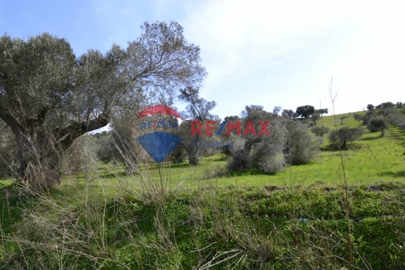 Οικόπεδο στην Πιτσίδια, Τυμπάκι — Φωτογραφία 9 από 9
