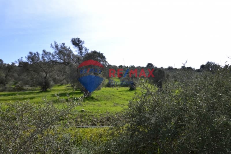 Οικόπεδο στην Πιτσίδια, Τυμπάκι — Φωτογραφία 2 από 9