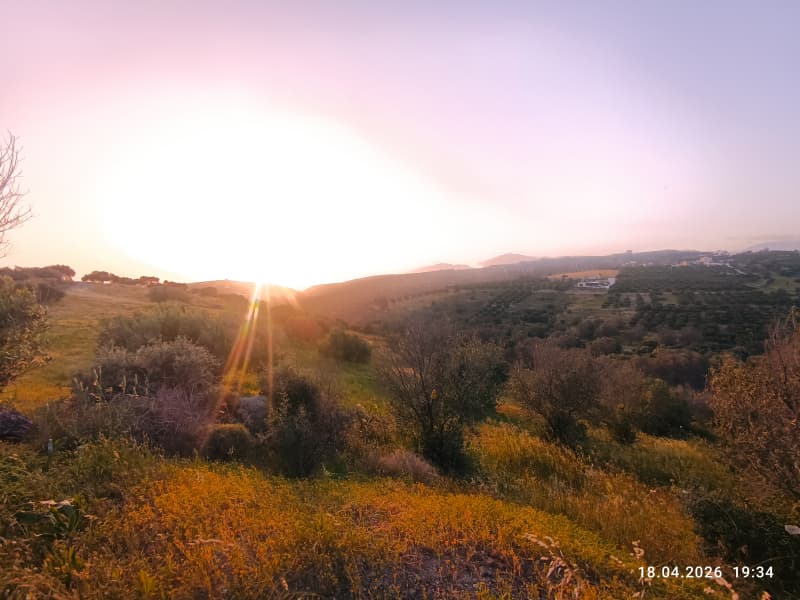 Οικόπεδο στην Πιτσίδια, Τυμπάκι — Φωτογραφία 7 από 9