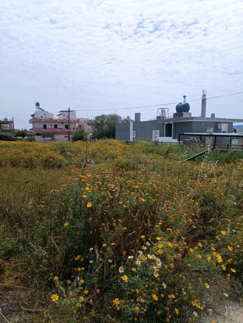 Building Plot in Kappariana, Moires — Photo 4 of 4