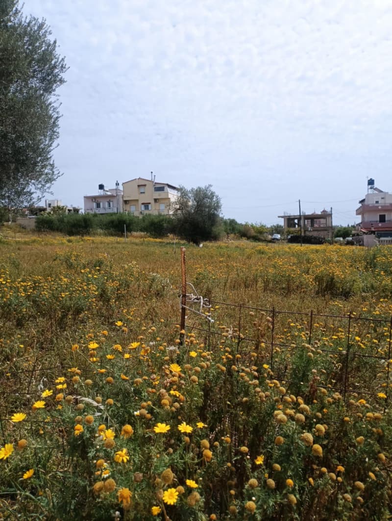 Building Plot in Kappariana, Moires — Photo 2 of 4