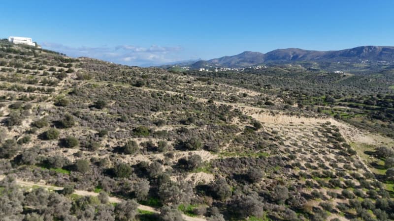 Οικόπεδο στην Καμηλάρι, Τυμπάκι — Φωτογραφία 5 από 13