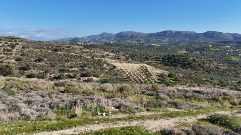 Οικόπεδο στην Καμηλάρι, Τυμπάκι — Φωτογραφία 9 από 13