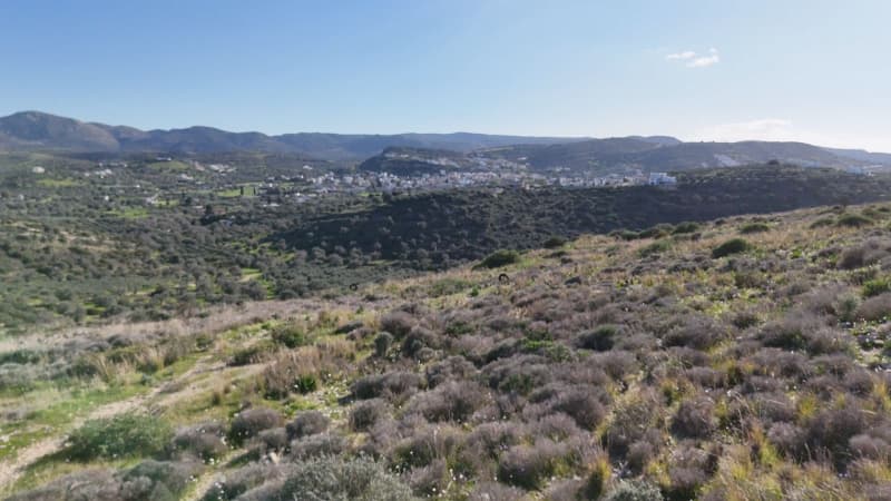 Οικόπεδο στην Καμηλάρι, Τυμπάκι — Φωτογραφία 10 από 13