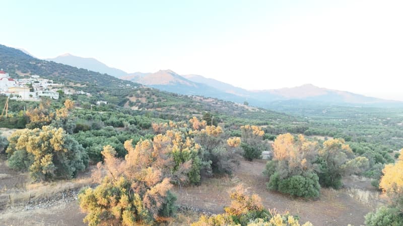 Οικόπεδο στην Κόκκινος Πύργος, Τυμπάκι — Φωτογραφία 3 από 16