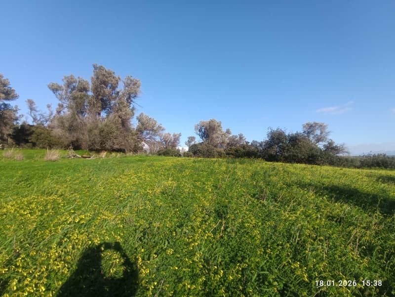 Οικόπεδο στην Κόκκινος Πύργος, Τυμπάκι — Φωτογραφία 10 από 16
