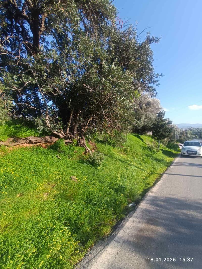 Οικόπεδο στην Κόκκινος Πύργος, Τυμπάκι — Φωτογραφία 16 από 16
