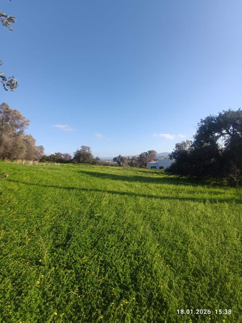 Οικόπεδο στην Κόκκινος Πύργος, Τυμπάκι — Φωτογραφία 9 από 16