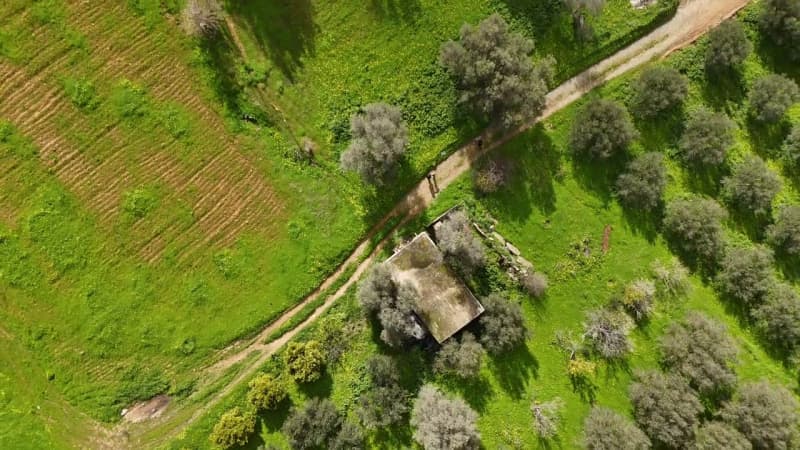 Building Plot in Faneromeni, Moires — Photo 15 of 17