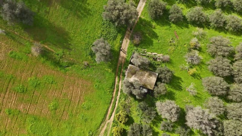 Building Plot in Faneromeni, Moires — Photo 14 of 17