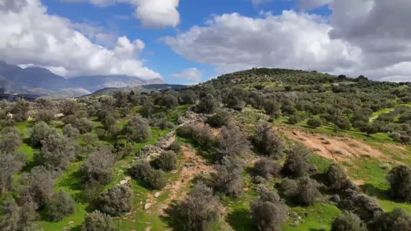 Building Plot in Faneromeni, Moires — Photo 6 of 17
