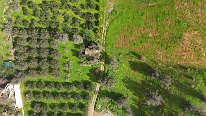 Building Plot in Faneromeni, Moires — Photo 4 of 17