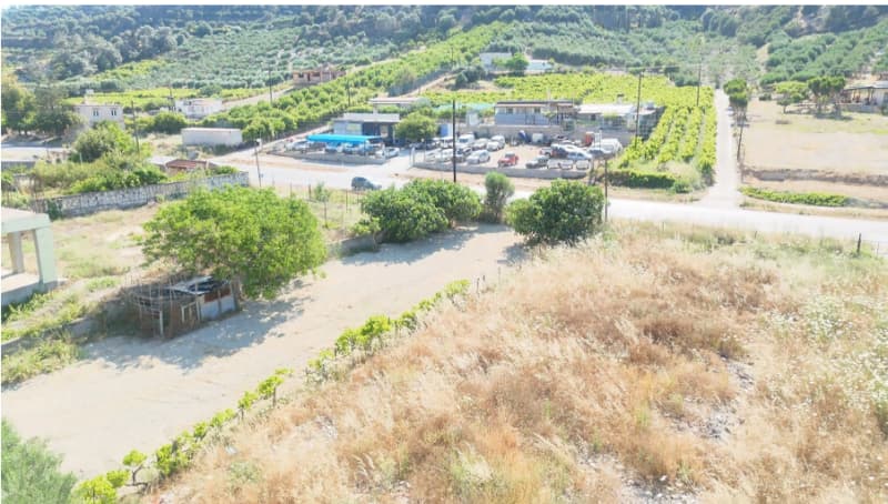 Parcel in Athanatoi, Temenos — Photo 16 of 20