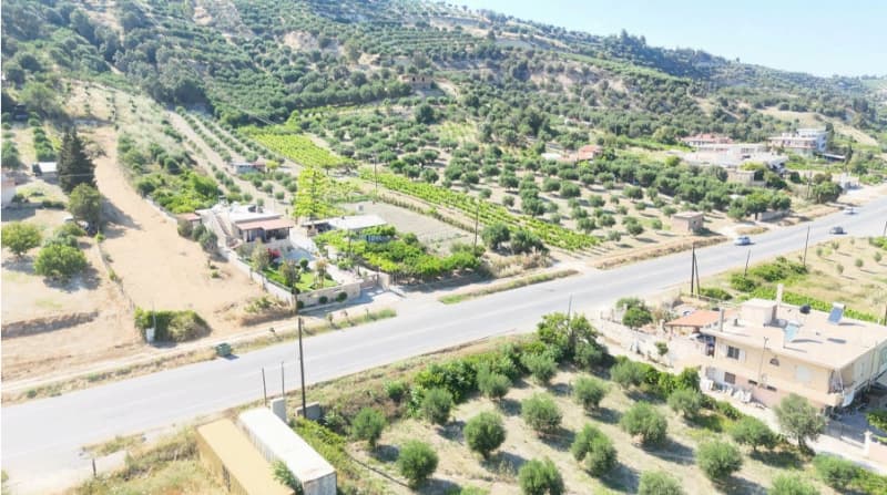 Parcel in Athanatoi, Temenos — Photo 17 of 20