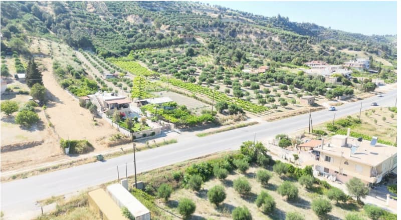 Parcel in Athanatoi, Temenos — Photo 18 of 20