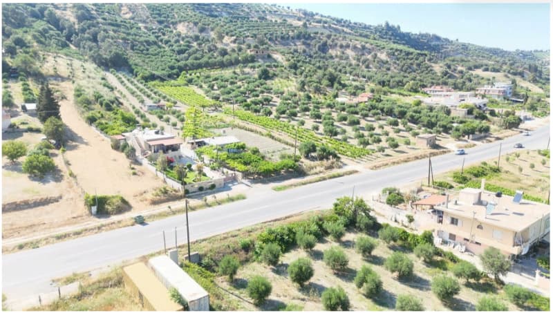 Parcel in Athanatoi, Temenos — Photo 5 of 20