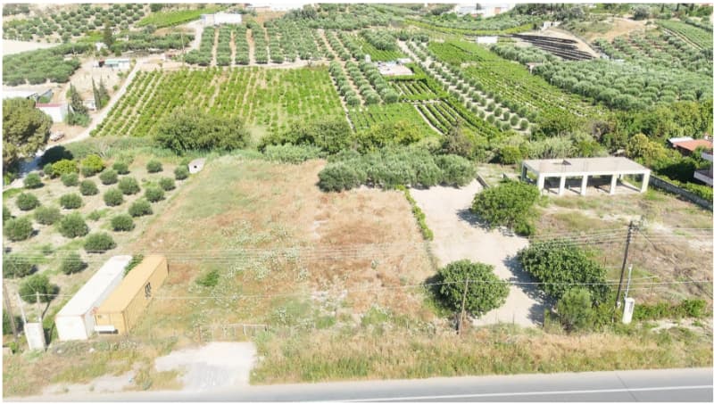 Parcel in Athanatoi, Temenos — Photo 10 of 20