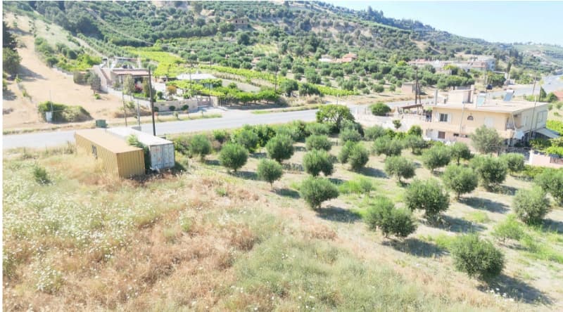 Parcel in Athanatoi, Temenos — Photo 15 of 20