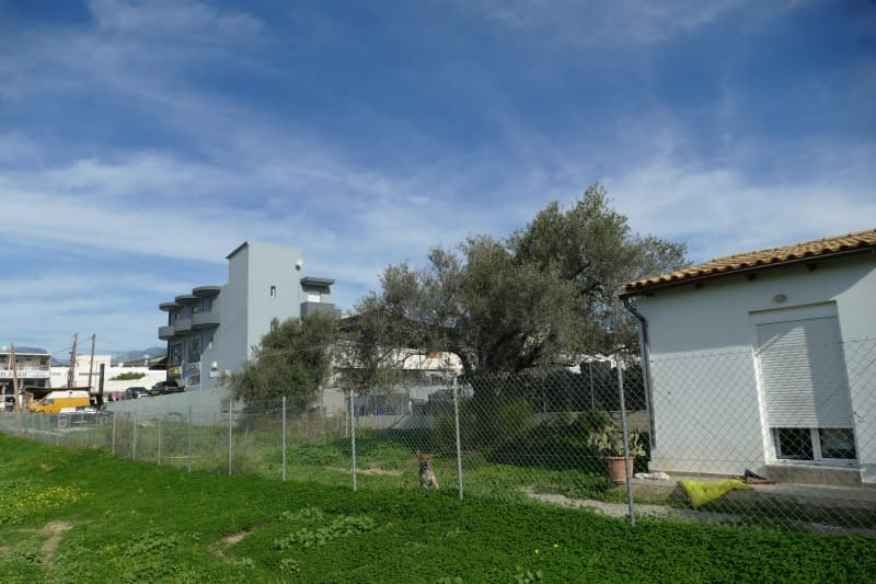 Building Plot in Kappariana, Moires — Photo 2 of 5
