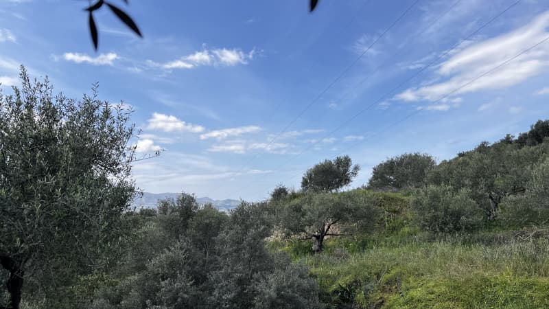 Building Plot in Kappariana, Moires — Photo 3 of 10