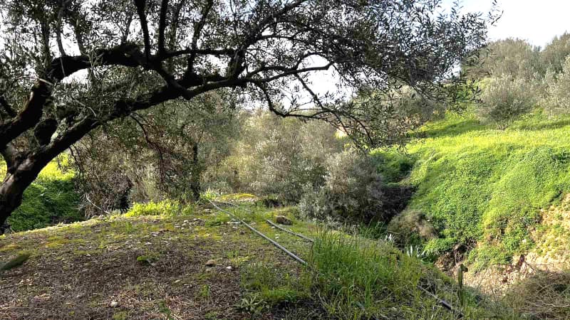 Building Plot in Kappariana, Moires — Photo 7 of 10