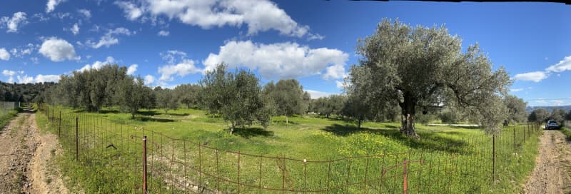 Parcel in Kappariana, Moires — Photo 2 of 4