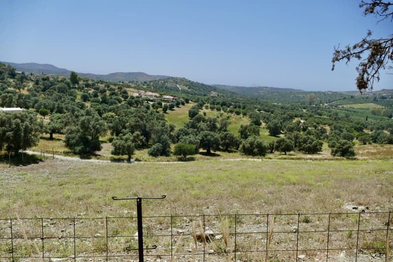 Parcel in Kouses, Moires — Photo 4 of 5