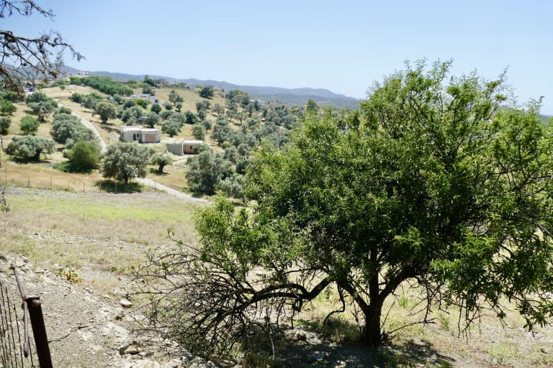 Parcel in Kouses, Moires — Photo 5 of 5