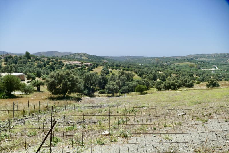 Parcel in Kouses, Moires — Photo 2 of 5