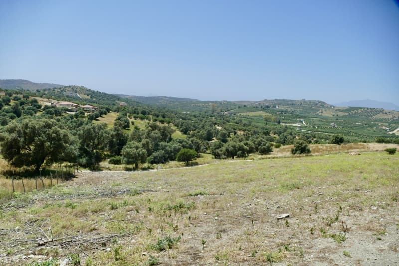 Parcel in Kouses, Moires — Photo 3 of 5