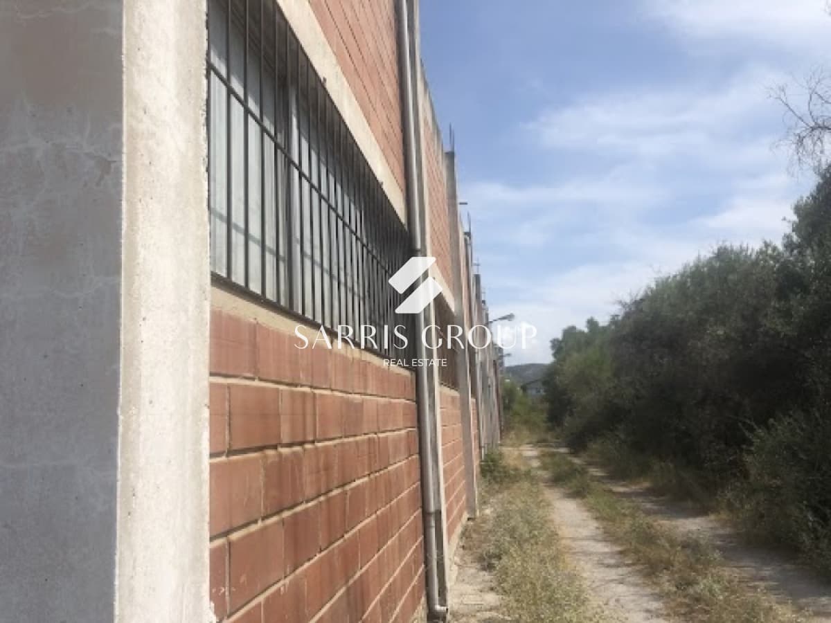 Αποθήκη στην Κέντρο, Ευκαρπία — Φωτογραφία 13 από 15