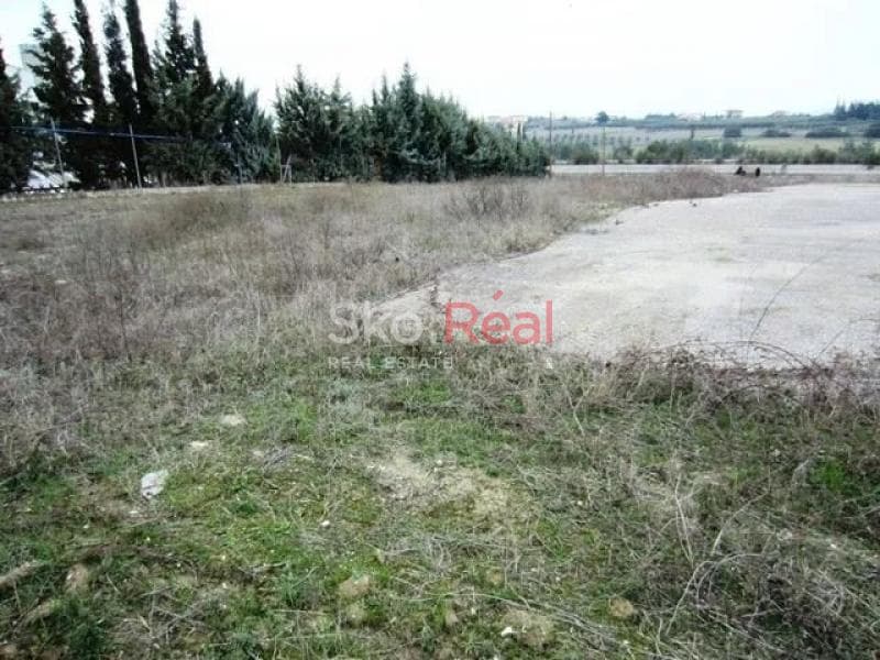 Ελαφρύς Βιομηχανικός Χώρος στην Κάτω Σχολάρι, Μίκρα — Φωτογραφία 18 από 24