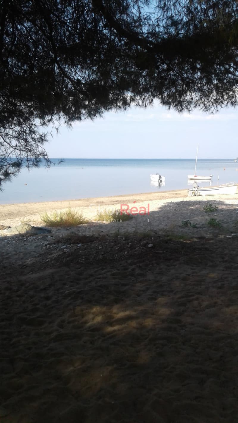 Μονοκατοικία στην Νικήτη, Σιθωνία — Φωτογραφία 26 από 29