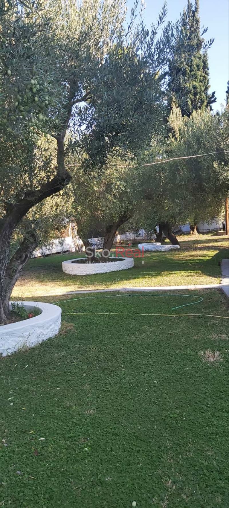 Μονοκατοικία στην Νικήτη, Σιθωνία — Φωτογραφία 6 από 29
