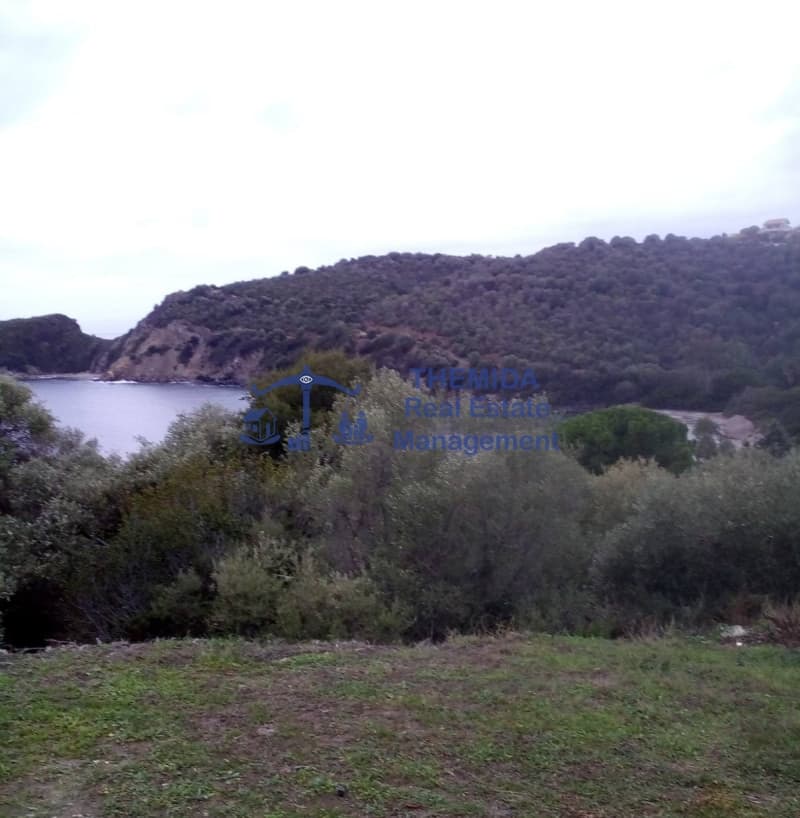 Μονοκατοικία στην Αμολιανη, Παναγιά — Φωτογραφία 11 από 11