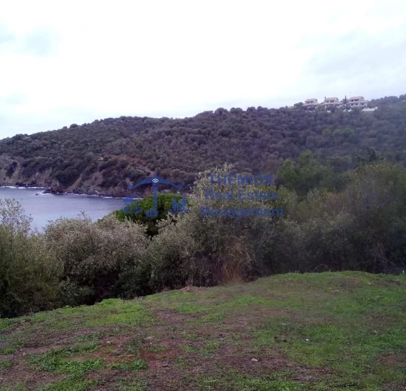 Μονοκατοικία στην Αμολιανη, Παναγιά — Φωτογραφία 9 από 11