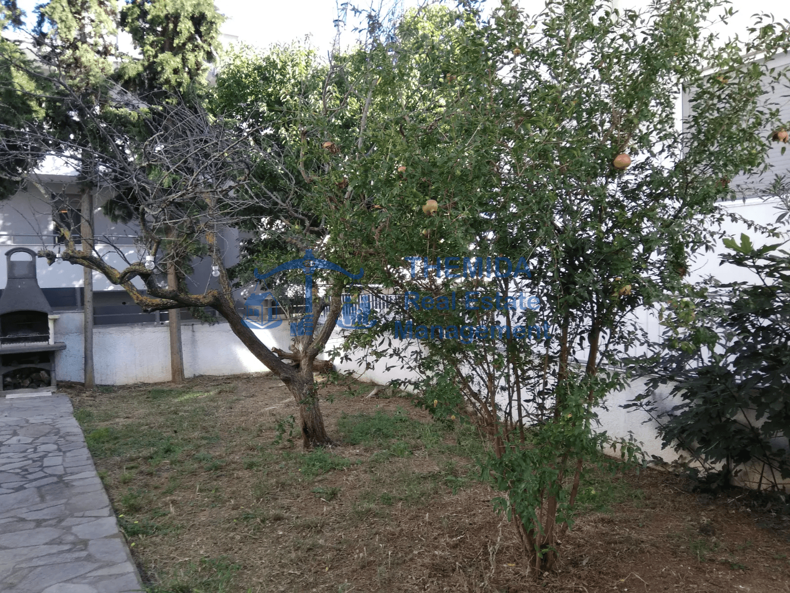 House in Panorama, Panorama — Photo 6 of 10
