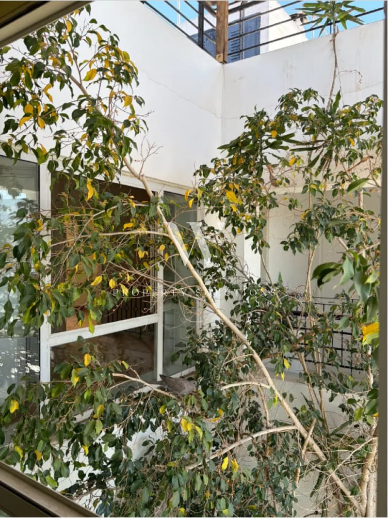 Μονοκατοικία στην Άνω Νέα Σμύρνη, Νέα Σμύρνη — Φωτογραφία 24 από 25
