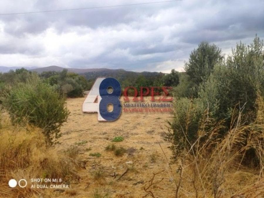 Οικόπεδο στην Άγιος Μηνάς, Χίος — Φωτογραφία 1 από 14