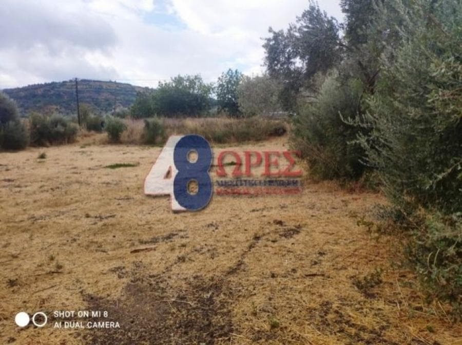 Οικόπεδο στην Άγιος Μηνάς, Χίος — Φωτογραφία 11 από 14